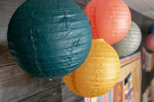 Linternas De Papel Colgantes Wonderfully Wild De 8 Pulgadas