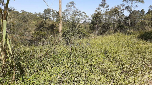 Terreno À Venda, 2501 M² Por R$ 250.000,00 - Chácara Recanto Verde - Cotia/sp - Te0538