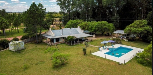Imagen 16 de 30 de Chacra De 6700 M2 Con Casa Y Piscina En La Pataia - Consulte - Punta Ballena La Pataia