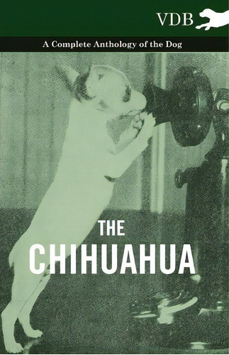 The Chihuahua - A Complete Anthology Of The Dog -, De Various. Editorial Read Books, Tapa Blanda En Inglés