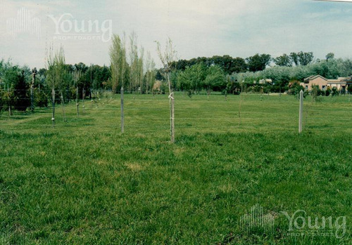 Terreno Venta Campos De Roca