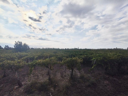 Finca De 19,7 Has, En Tres Esquinas, Media Agua.