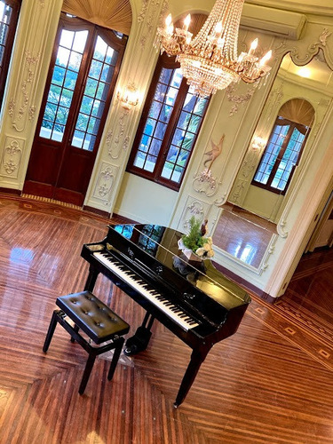 Imagem 1 de 10 de Aluguel De Piano De Cauda E Piano Digital De Cauda