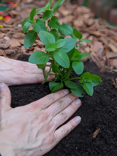Substrato Com Nutrientes Para Plantas Vasos Jardinagem 3kg,