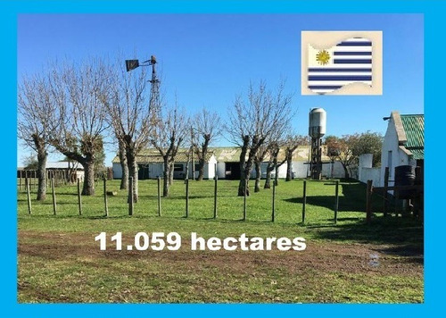 Fazenda Com 11.059 Hectares Em Paysandú - Uruguai