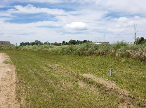 Imagen 6 de 8 de Chacra Venta 9 Lotes De 2500mts2 Totales- Villa Gesell