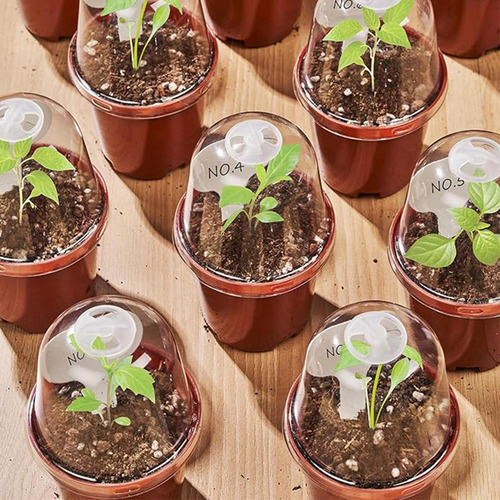 10 Uds. De Macetas Para Vivero, Contenedores Para Plantar,