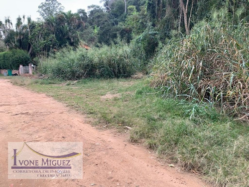 Imagem 1 de 6 de Terreno Em Barão De Javary - Miguel Pereira - 3308