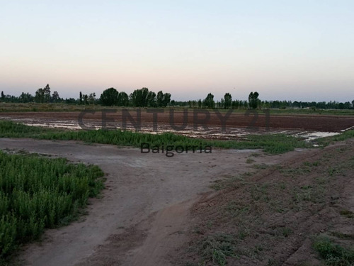 Imagen 9 de 9 de Finca En Venta - Lavalle - Mendoza Id: 46538