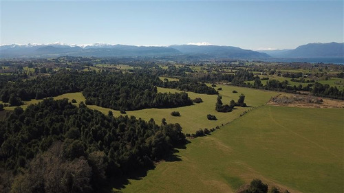 Imagen 11 de 16 de Agrícola En Venta En Río Bueno