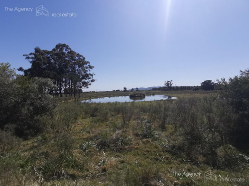 Imagen 11 de 30 de Oportunidad Chacra Con Campo En Venta Alquiler Anual - Cerros Azules