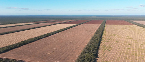 Campo En Santiago Del Estero