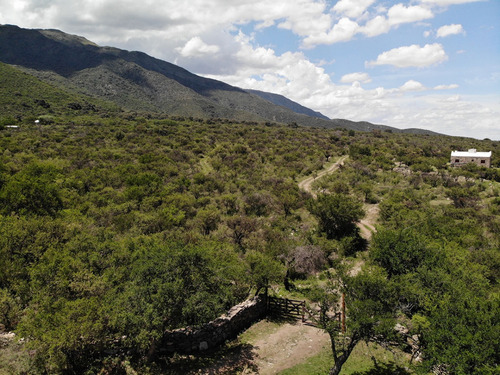 Venta De Lotes En Carpintería El Sendero