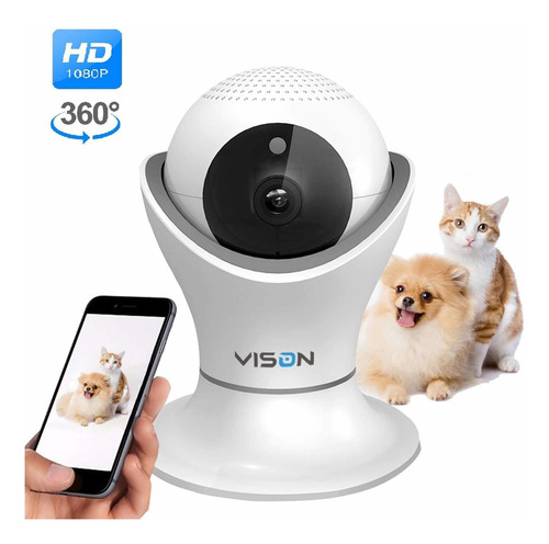 Hd P Camara De La Camara Perro Gato De Interior Del Mo...