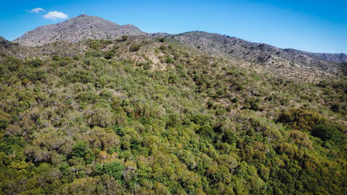 Imagen 12 de 28 de Se Venden 148 Ha De Terreno En Cerro Pan De Azúcar