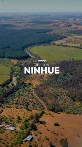 Imagen 1 de 11 de Parcelas En Ninhue , Ñuble, Chillán