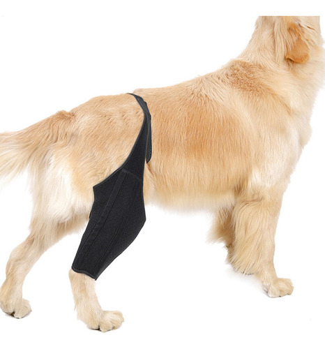Soporte De Cadera Para Perro Soporte Para Patas Traseras De