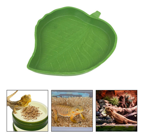 2 Cuenco De Alimentación Para Anfibios, Cuenco Para Estilo