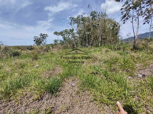 Imagem 8 de 19 de Terreno À Venda No Bairro Pilões - Guaratinguetá/sp - Tr010-1