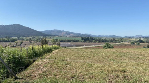Sitio 5.000mts2 A 10 Minuto Lago Colbún Vende Dueña