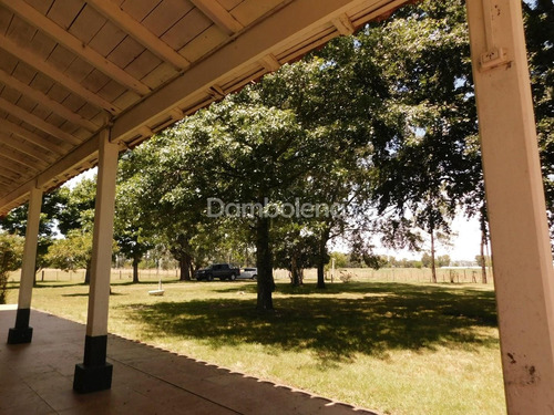 Imagen 11 de 22 de Terreno Campo En Venta Ubicado En General Rodríguez, G.b.a. Zona Oeste