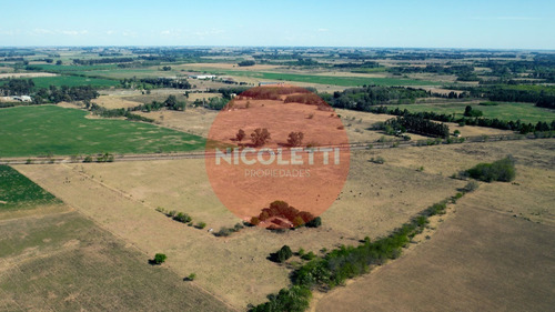 Imagen 14 de 21 de Campo - Chacra De 13,7 Has | Gowland | Mercedes