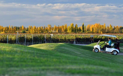Lot E27 Algodón Wine Estates