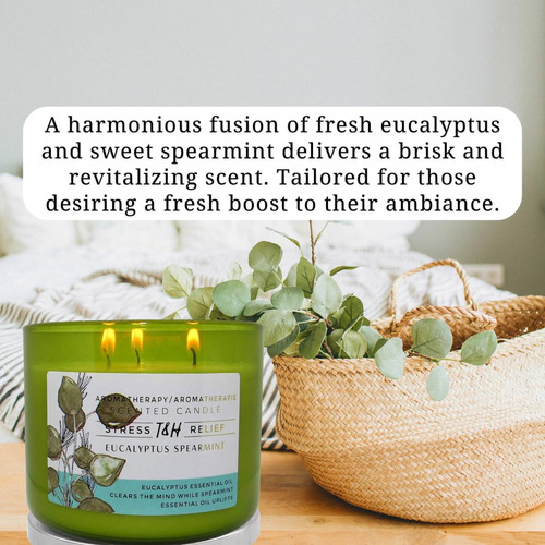 Vela De Aromaterapia De Eucalipto De Menta De 3 Mechas | Vel