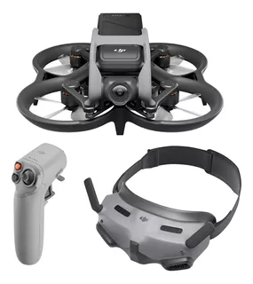 Dji Avata Pro-view Combo (dji Rc Motion 2, Goggles 2))