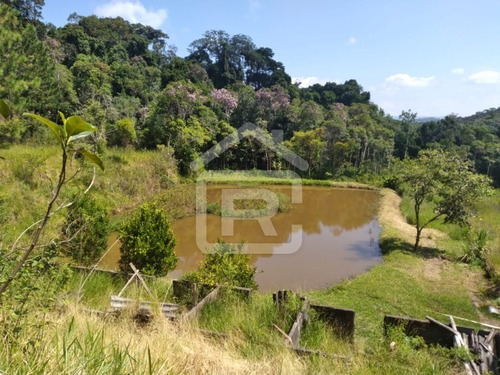 Imagem 12 de 15 de Chácara Em Juquitiba Com Lago - 221 - 70617837
