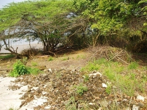 Imagen 25 de 30 de Maria Eugenia Blanco Vende Terreno En Morrocoy, Falcon 386942