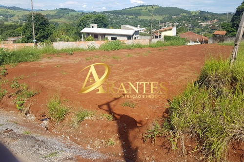 Imagem 1 de 7 de Terreno - Te00011 - 69578093