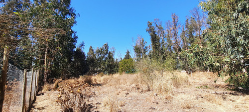 Imperdible!!! 2 Terrenos De 1,000m2 C/u, Cercanos A Concón