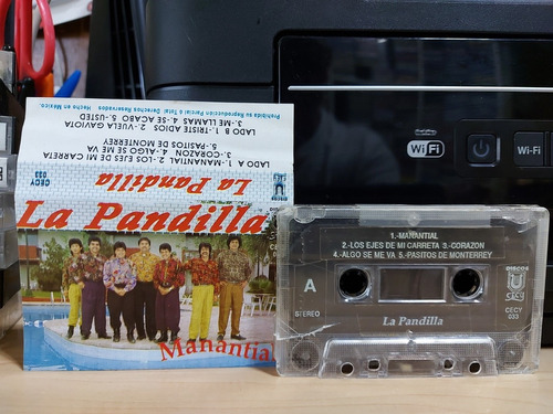 Grupo La Pandilla De Matamoros - Manantial (1990)