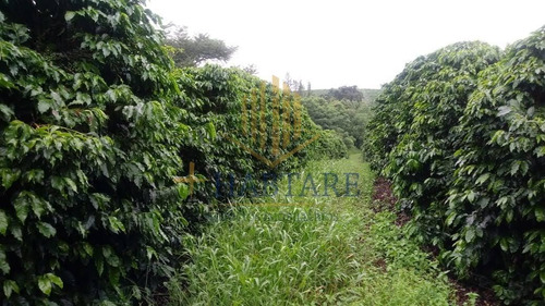 Imagem 15 de 15 de Fazenda Para Venda Em Ouro Fino, - - Fazenda 0_1-2221666
