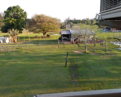 Chácara 3.200 M² - Lomba Grande - Novo Hamburgo - Rs - 1423 - 32419944