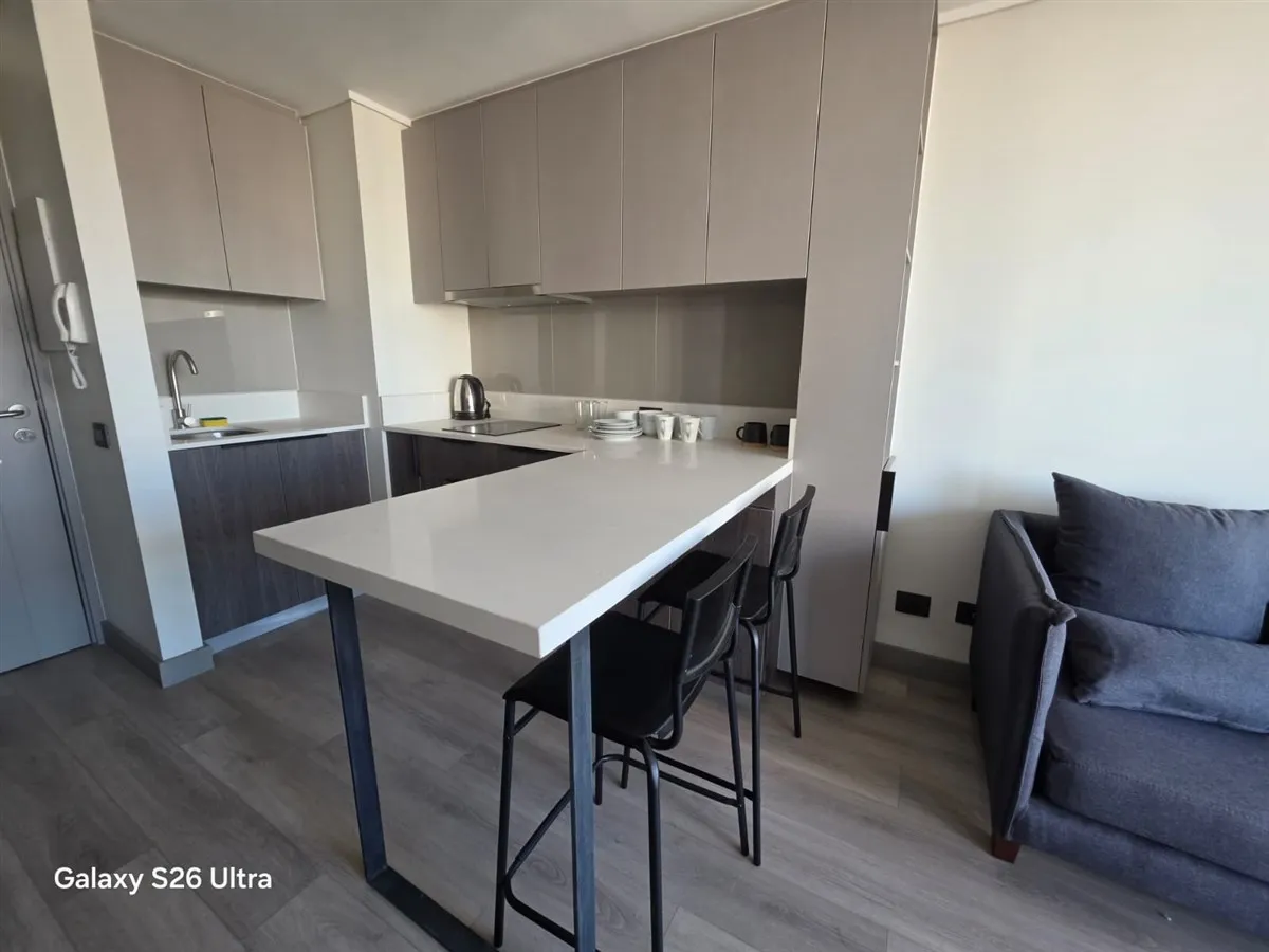 Imagen 4 de 13 de Arriendo Departamento Nuevo 1 Dom1 Baño Con Estacionamiento