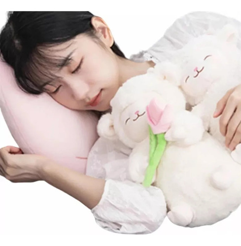 Moletom Tulipan Lamb Lamb Plush Tik Tok Color Unit
