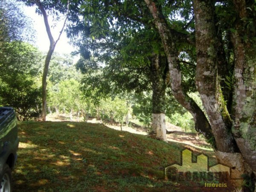 Imagem 2 de 9 de Chácara Em Figueira Grande, Santa Branca/sp De 19500m² 4 Quartos À Venda Por R$ 530.000,00 - Ch1031475-s
