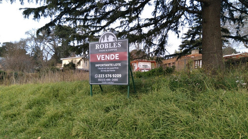 Imagen 1 de 5 de Terreno En Venta En Mar Del Plata
