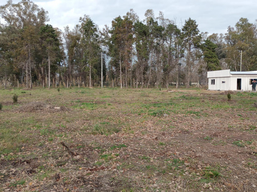 Terreno  En Pilar