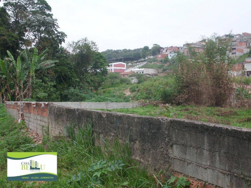 Imagem 10 de 15 de Terreno Residencial À Venda, Jardim Luciana, Franco Da Rocha. - Te0049