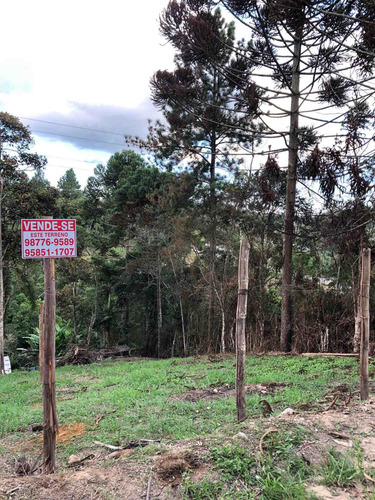 Imagem 8 de 8 de Vende-se Terreno - Parque Florestal, Parelheiros - Sp