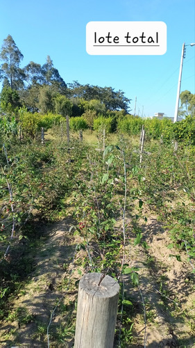 El Quinche Iguiñaro Vendo 1 Terreno De 232m2 Todos Los Servicos Basicos. Precio Negociable Al Contado O A Credito Con El 60% De Entrada Y El Saldo Sin Intereses