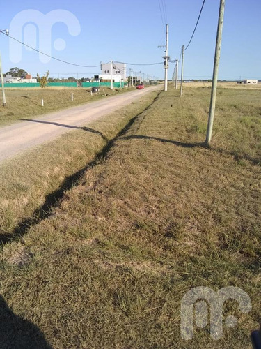 Imagen 11 de 11 de Venta Terreno -arana