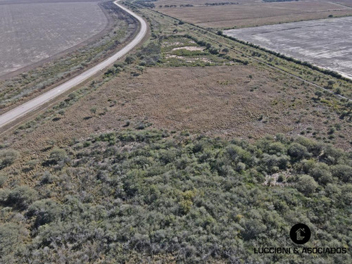 En Venta Hectareas Fortin Inca - Santiago Del Estero