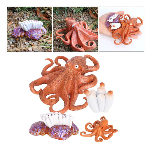 4 Del Ciclo De Vida De Un Pulpo, Insectos Plástico Pulpo
