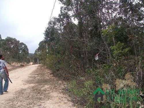 Imagem 3 de 15 de Area Na Serra De Caete - 178v
