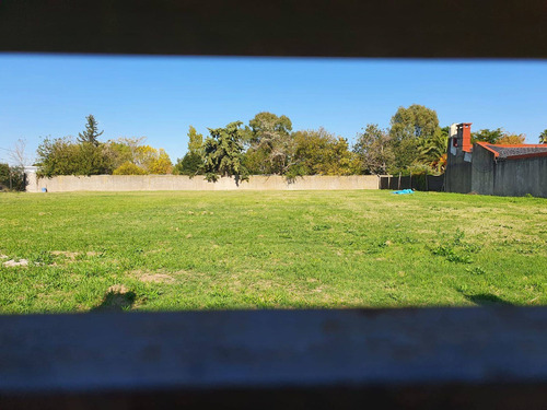 Imagen 5 de 7 de Terreno En Venta Villa Elvira