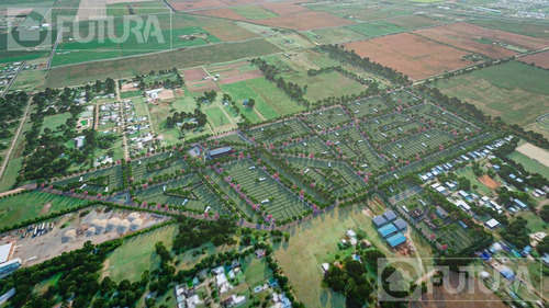 Imagen 3 de 6 de Terreno - Ibarlucea